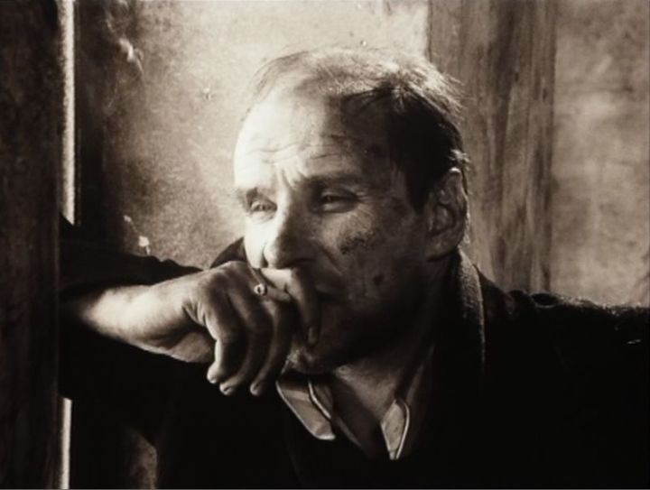tarko