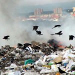 România sufocată de gunoaie